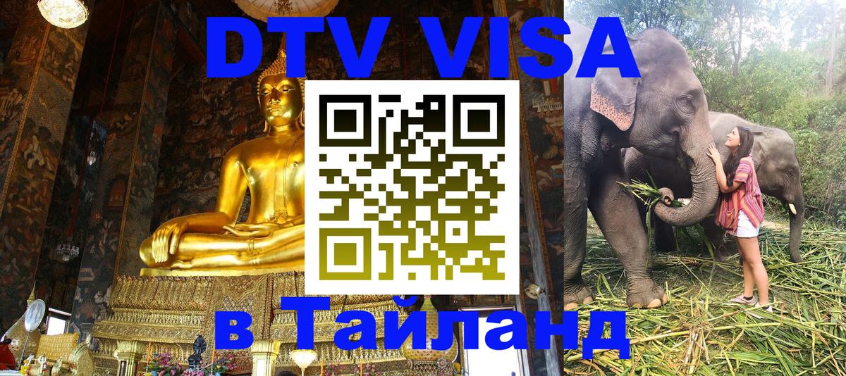 Сколько стоит DTV виза — актуальные цены, оформление даже без документов - Благовещенск  20.11.2025 